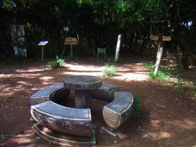 六個山山頂(395.8m)に到着。山頂は広くなっていてテーブルやベンチがあった