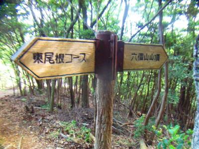 東尾根コースできたので戻る。このコースは西尾根コースにいかないように注意