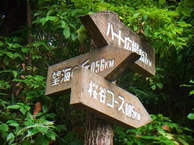 ここも桜谷コースへいく