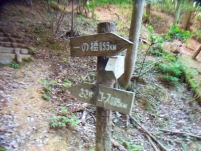 ここから一の橋へ向かう