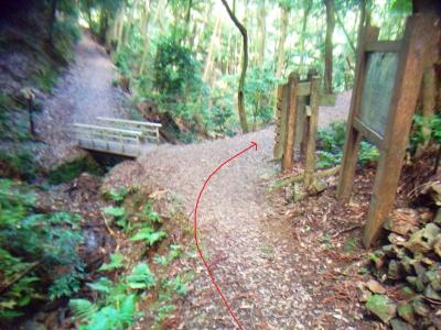 ここの分岐は橋を渡らず右へいく