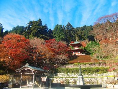 勝尾寺内にあるあの塔はなんだろうか。正直お寺にあまり興味がないので調べもしてないけど・・・