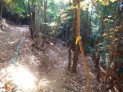 ここは分岐になっているけど、どちらに行っても同じところにたどり着く