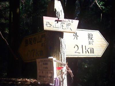 しらみ地蔵からすぐの三差路。これを谷山尾根のほうへ向かう