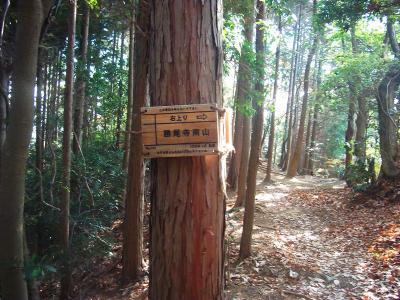 再びプレートがあった。どうやらここを右上りするようだ