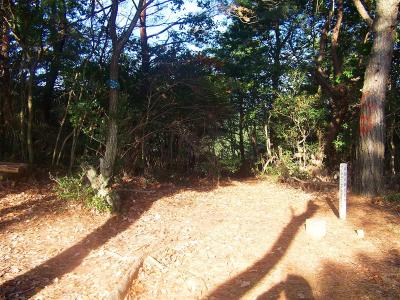 どうやらここが勝尾山南山の山頂らしい