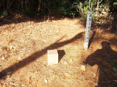 山頂には三角点もあった