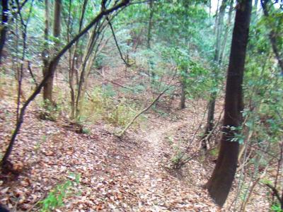 東海自然歩道までこのように細い山道が続く