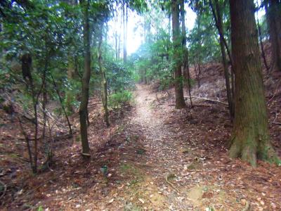 最初は沢筋のなだらかな道が続くが、すぐに階段道となる