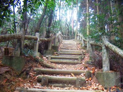 この階段道は長い。しかし雪なんてどこに！？