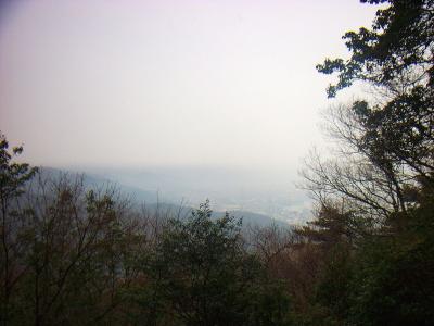 うっすらだけど、琵琶湖が見える