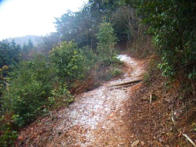 この辺りからです雪がちらほらでてきた