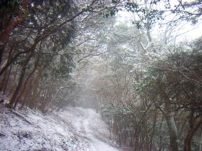 登山道もすっかり雪景色に変わってきた