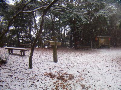 山頂手前。落ち葉がおおいけど雪も結構積もってきた