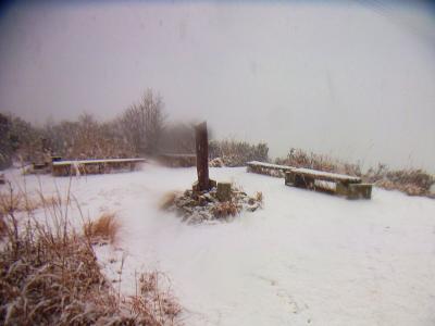 ここが音羽山山頂。広いけどガスってて展望はなし