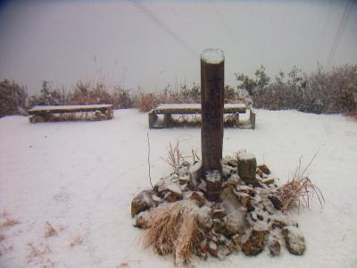 音羽山山頂(593.2m)に到着。三角点もあった