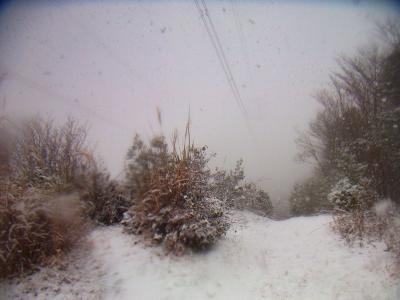 本来はここから琵琶湖が見えるはずだが今日は全くダメだね