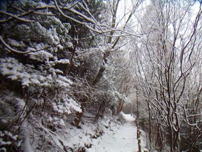こっちのほうはもう少し雪が積もってるのね