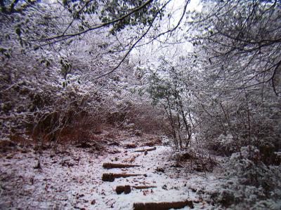 だんだん雪が少なくなってきた