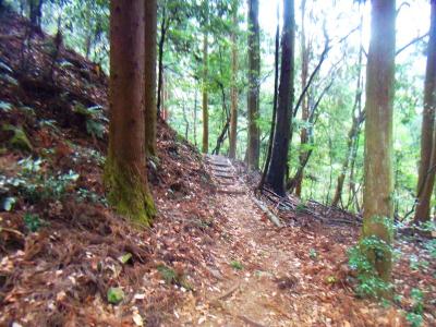 すっかり雪はなくなって普通の登山道になる