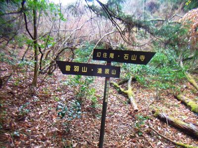 幻住庵のほうへ向かう