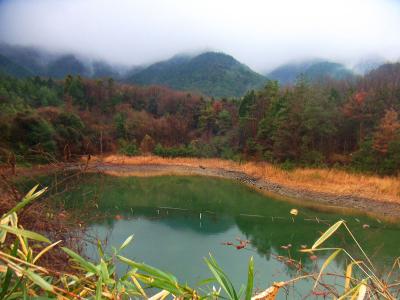 下りきったところくらいに池があった。最初はダムかと思った