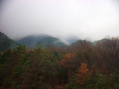 振り返ると上のほうはやはり白くなっていて雪が積もっているようだった。ここから道路を歩いて幻住庵のバス停からバスに乗ってJR石山駅へ行った