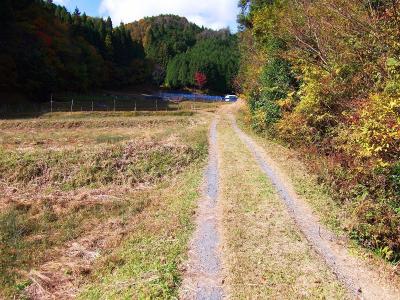 田んぼの脇道を道沿いに歩いていく