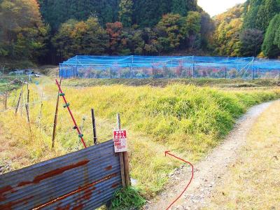 ここがポイント。道標などないが、ここを左へ曲がって谷へ入っていく