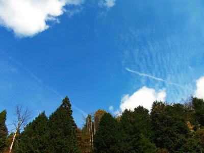 今日は晴天の青空。ここは雲が少し近い感じもした