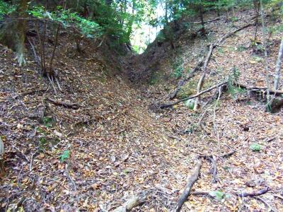 しばらく谷を登っていくとコルぽいのが見えるのでそこへ向かっていく