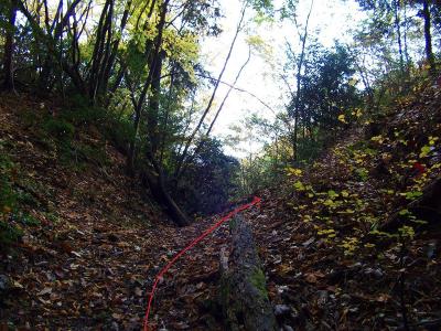 コルらしきところに出たら右の尾根へ登っていく。左は行けないことがすぐわかる