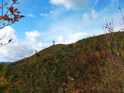 尾根を少し登っていくと展望の良いひらけた場所に出る。あの電波塔のところまで行く