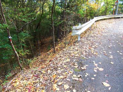 しばらくすると管理道の舗装道にでる。管理道をあがっていっても山頂にたどり着く