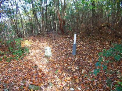 黒柄岳山頂には山頂三角点があった