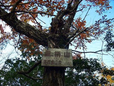 黒柄岳(527m)に到着。プレートには526mとなっていたが切り捨てした表記だと思う