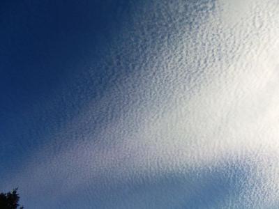 すごいうろこ雲！？だったので思わず撮影しておいた