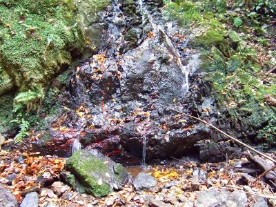 乙女の滝の下側。本当に水量は少ないけどね