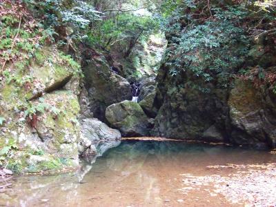 この付近の沢の水は結構綺麗かも。沢登りを思い出したけどさすがにここは入れない