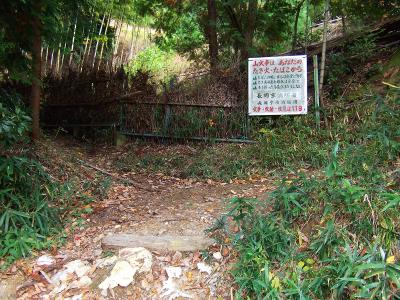 早速、分岐があった。どちらにいけばいいのか迷ってしまうが方角的に考えても右が正解