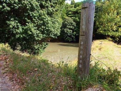 鉢伏自然歩道を歩いていく。この山でも道標はあるようだ