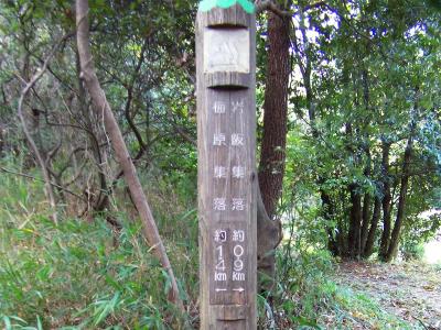 この段階で岩坂集落まで0.9kmとなっていたが実際はもっと距離があったように感じられた