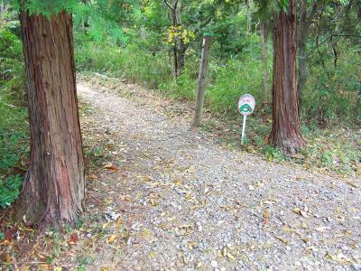 道標もあるので従って鉢伏自然歩道を歩いていく