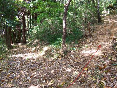 ここで道標のない分岐。登りなので右側だとすぐわかったが左側へ行くと梅原集落にいくようだ