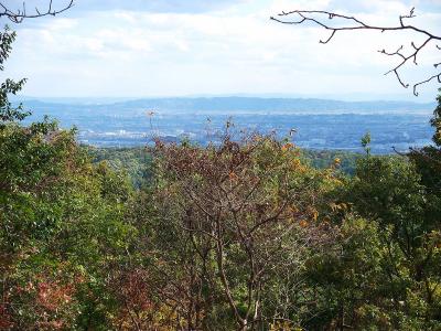 山頂からの展望はこれだけ。樹林がなければもっと良かったと思うが、展望目的ではなかったのでいいかな