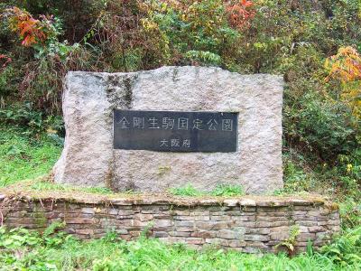 最初に平石峠へ行こうか正直考えたが岩橋峠経由にした