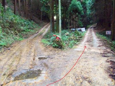 ここは右側の舗装道のほうへ進んでいく