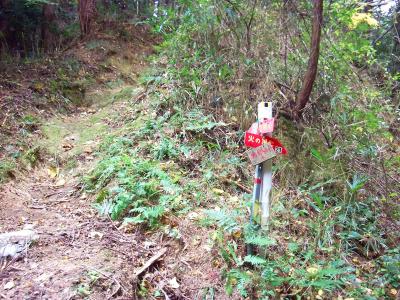 岩橋峠へのプレートがでてくる。左側へ登っていく。ここから登山道に入る感じとなる