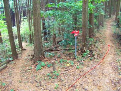 ここは右へ登っていく