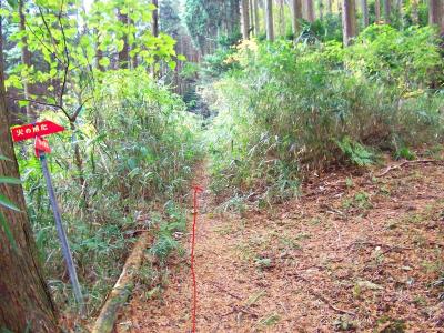 ここは真っすぐ行く。関電道のプレートがあって少しややこしい感じだが地図を見ていると方角的にわかる